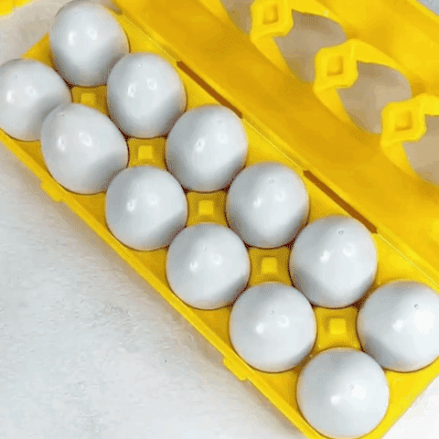 GeoShape™ Memory Egg Toys - Free Today!