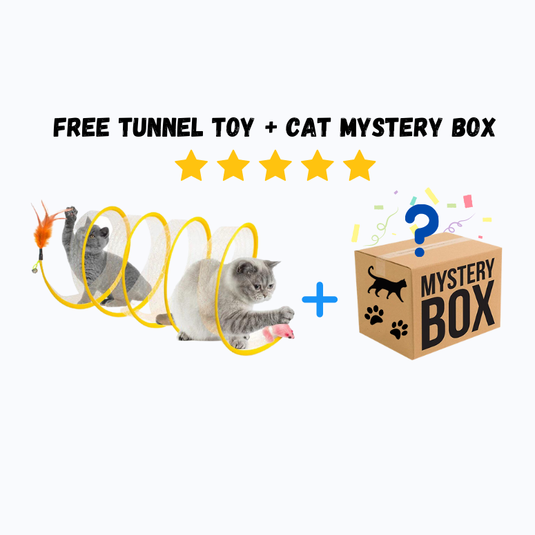 Mystery Box